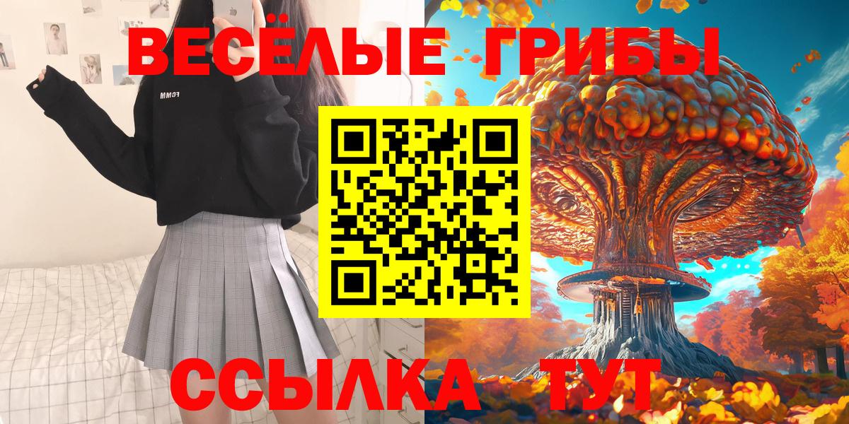 Псилоцибиновые грибы мухоморы Дербент